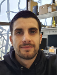 mousa