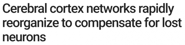 today_headline_article